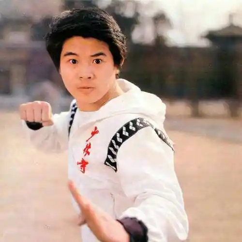 李连杰年轻时照片全集(功夫巨星李连杰刚出道时的老照片) - 宅宅网