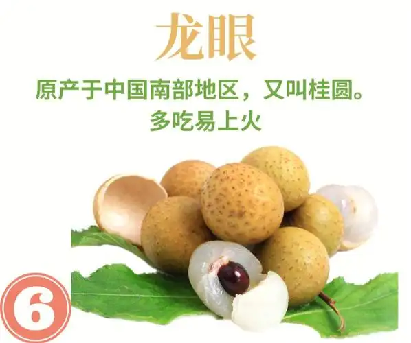 5颗适宜[郁金香r]功效增强记忆龙眼肉对脑细胞有益,能增强记忆,消除