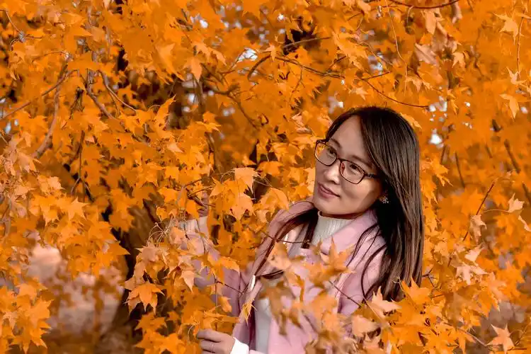 标题:枫叶与美女