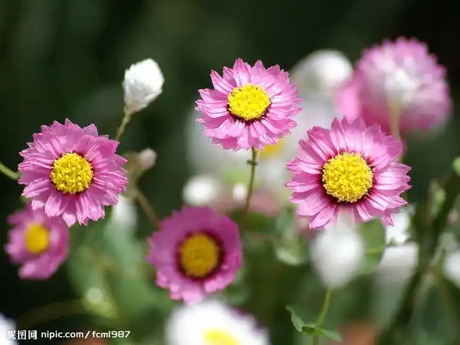 推进中小学生研学旅行健康发展全面覆盖