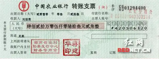 (郴州500万支票)