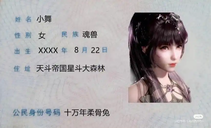 小舞身份证