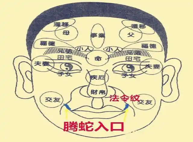 面相秘诀:螣蛇入口必受其害