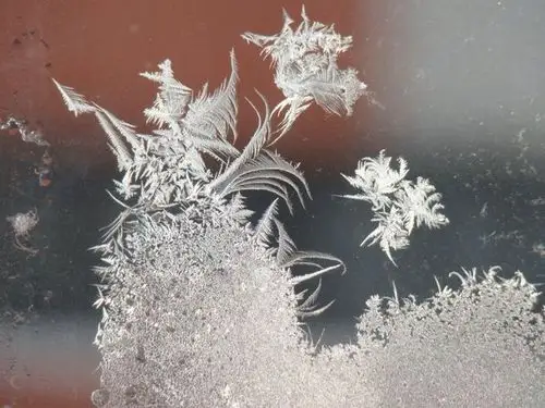 玻璃上的冰花