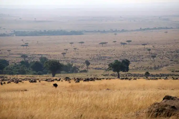 《胡说八道》64.索马里&肯尼亚 - 简书