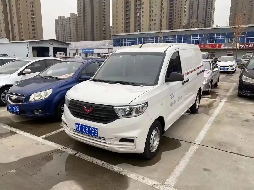 最新到一台2020年上牌,2座五菱宏光v封闭式面包车,拉人拉 - 抖音