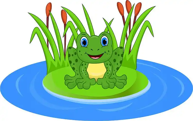 卡通青蛙在池塘的叶子上图片