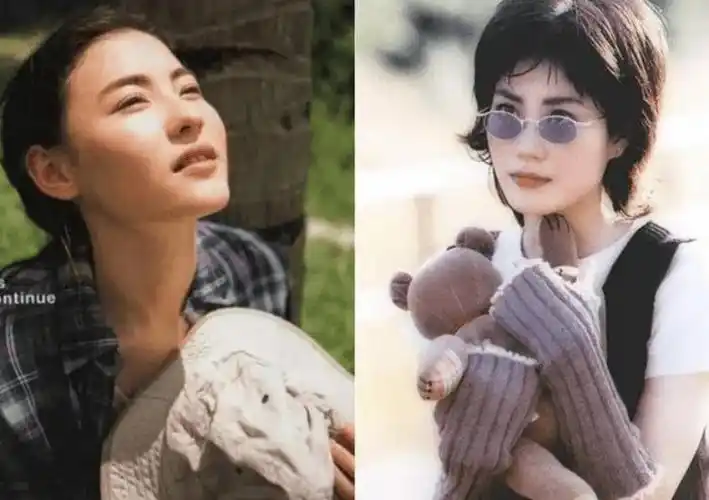 五官精致vs独特气质张柏芝和王菲谁更吸引人