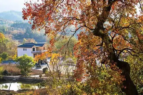 【摄影作品】大别山里的"网红村"