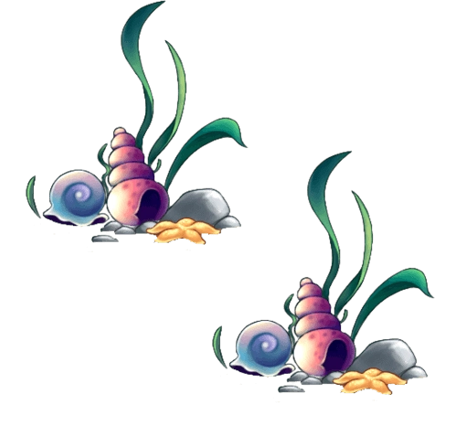 海螺海螺图片大全