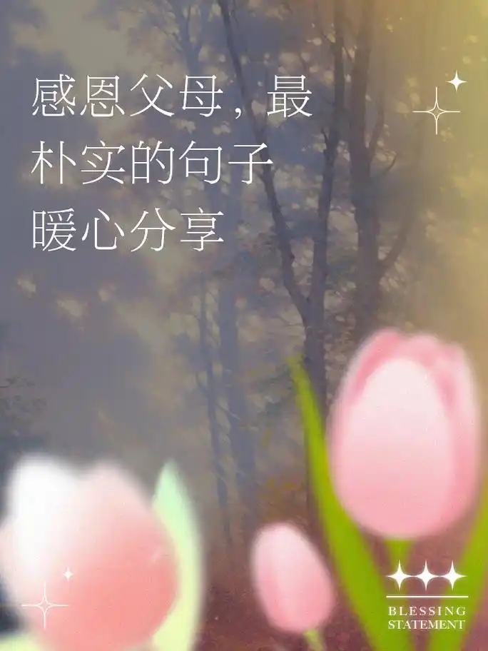 感恩父母,最朴实的句子暖心分享