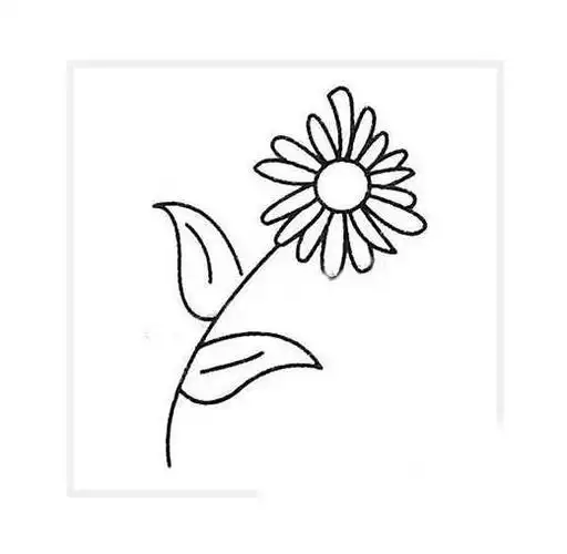 小雏菊手绘简笔画