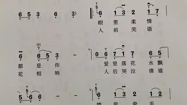 歌曲《痴情冢》,简谱视唱,笛子专用技巧谱-音乐视频-搜狐视频