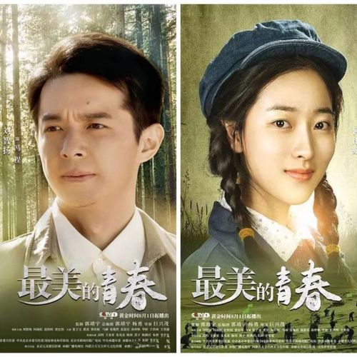 【最美的青春】刘智扬,何雨虹,赵恒煊电视剧碟片dvd