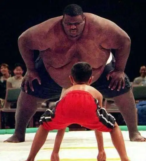 体育 花边 正文据英国《每日邮报》报道,美国著名相扑运动员,世界上最