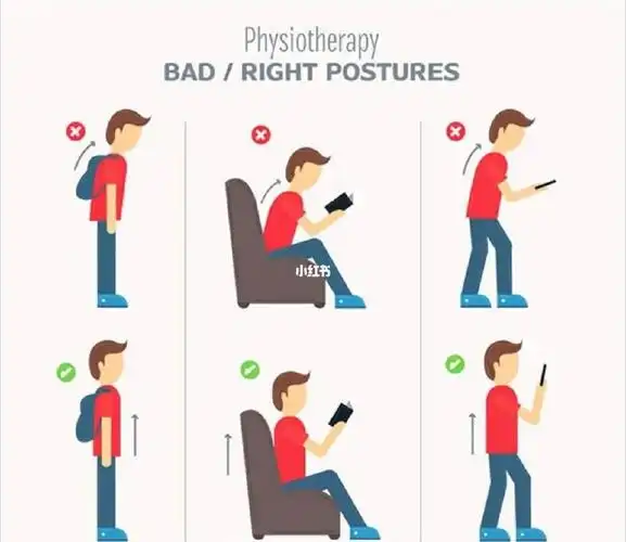 美好的体态从正确的坐姿和站姿开始