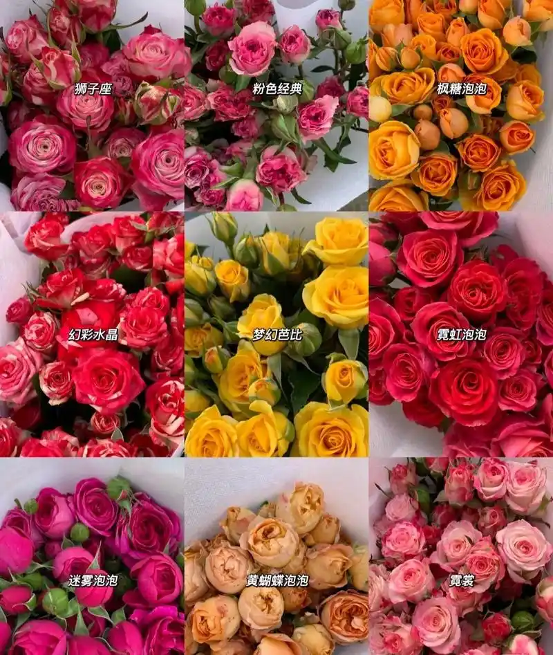 多头玫花语:幸福,快乐,收获,胜利,成功等. 泡泡多头玫瑰给 - 抖音