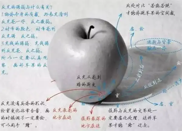 京美考教育【教程】想学好素描,一定要掌握方法,积累知识,反复练习!