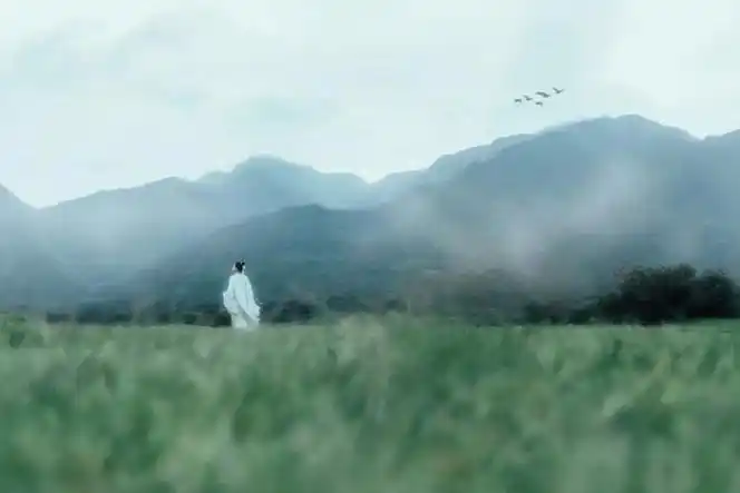 为什么二十四节气中唯有清明成为法定节日这是我听过最好的答案