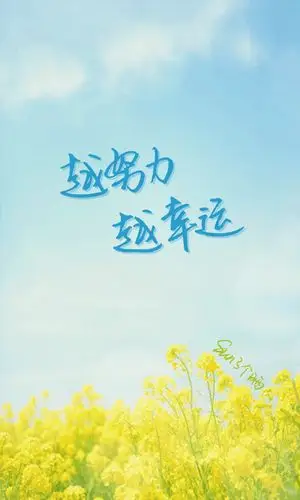 原创 手写 句子 自制 iphone 壁纸 图片及文字来自网络 清新 温暖