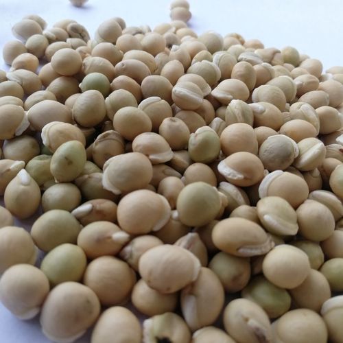 农家自产白扁豆特级干货中药材优质五谷杂粮新货扁豆去湿药用包邮