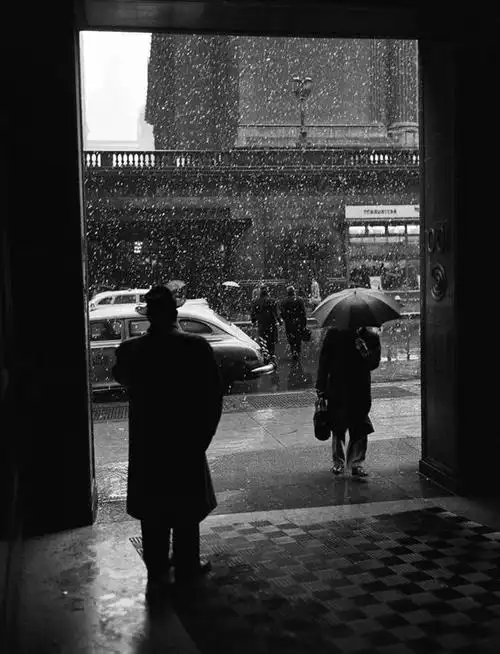 路,公路,行人,湿,伞,公寓,门口,交通,天气,古典,摄影,运送,男人,马路