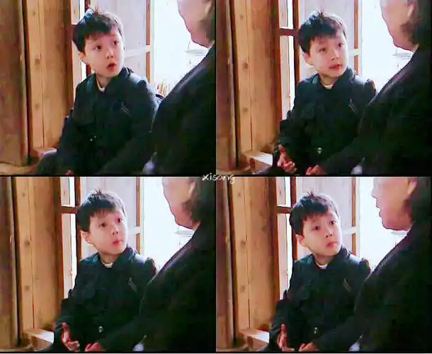 张艺兴 exo 小绵羊 极限挑战 二月红 老九门 二爷 lay 好先生 老九门