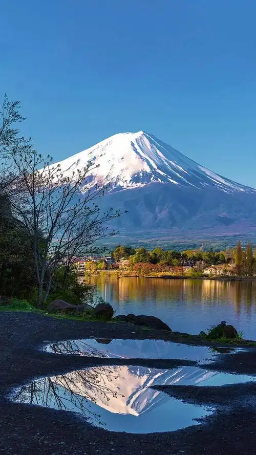 富士山的落花 - 图虫