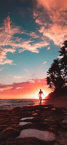 阳光天空大海的微信聊天壁纸