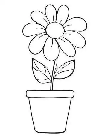 简笔画教程植物花卉类教程轻轻松松画