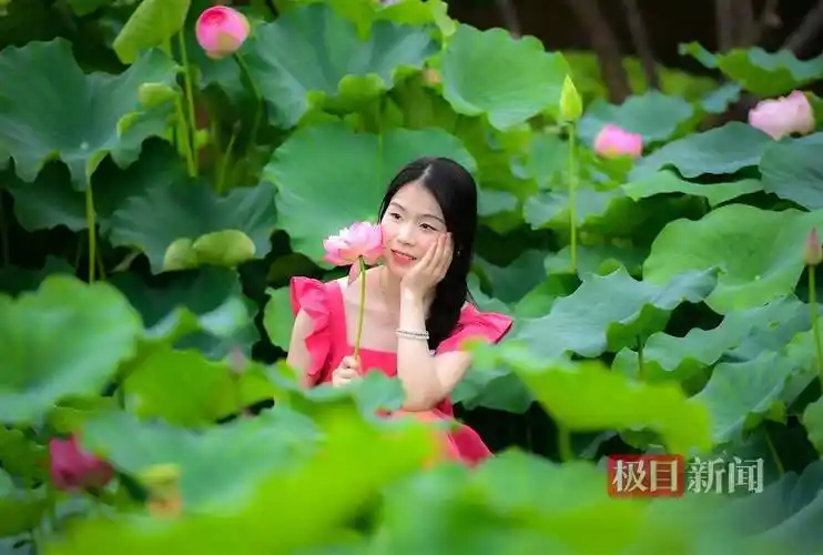 不仅如此,还有许多市民在荷花池边摆出各种姿势,与荷花合影留念,还有