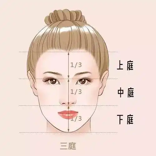 中庭长面相好不好(面相中庭长意味着什么)