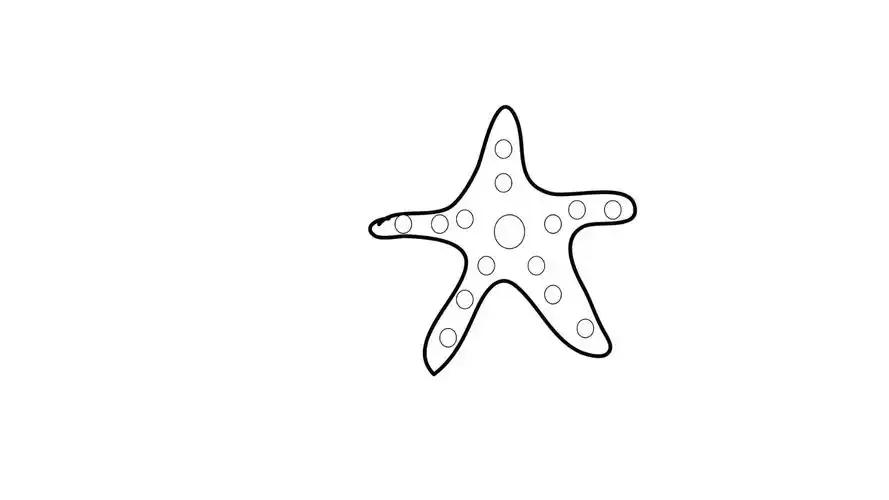 海底生物简笔画怎么画