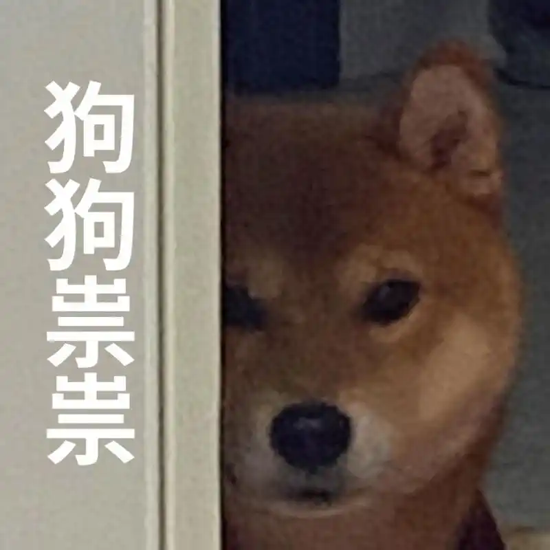 狗狗祟祟#狗狗# #搞笑表情包# #流量扶持计划