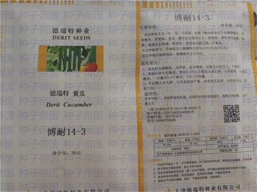 博耐14-3黄瓜种子 天津德瑞特种业