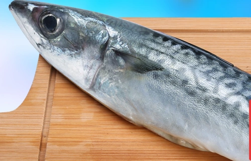 青花鱼的购买技巧