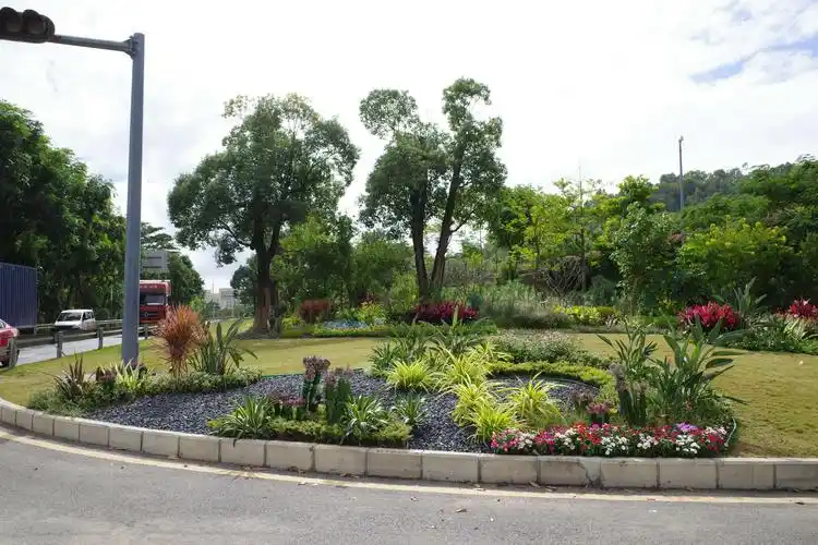 高标准完成花园路口,花漾街区建设工程,助力美丽深圳绿化提升行动考核