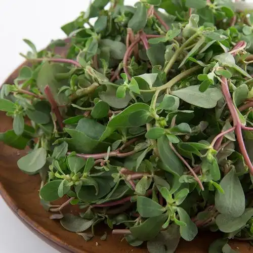 本来精选—— 马齿苋 100g【价格 多少钱 图片 怎么样】 - 本来生活网