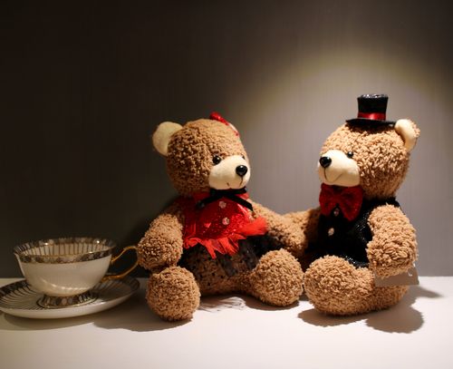 礼物情侣小熊女朋友泰迪熊情人节婚庆新婚祝福毛绒玩具其它玩具