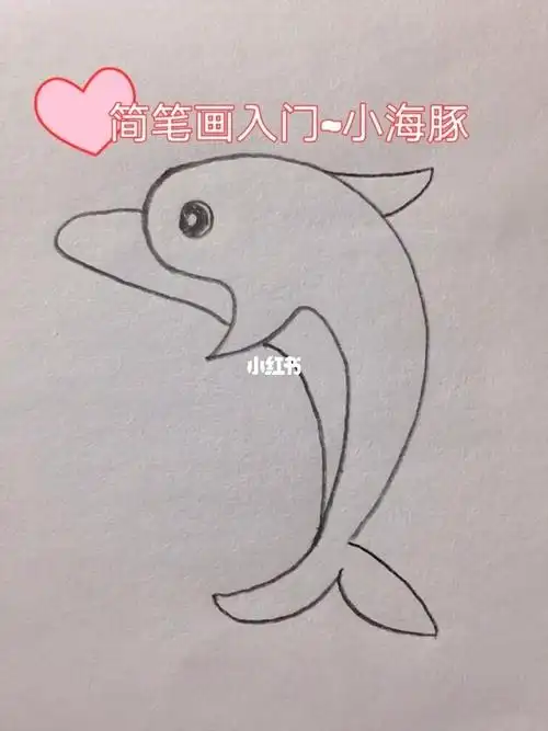 简笔画丨可爱的小海豚简笔画教程