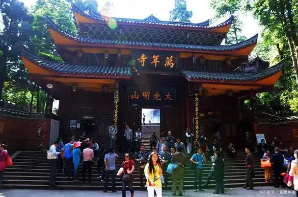乐山峨眉山大佛禅院:文化与宗教的壮丽邂逅