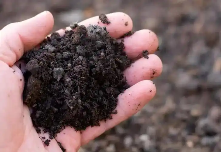 9万多平方米黑土被盗挖,挖来有什么用?_土地