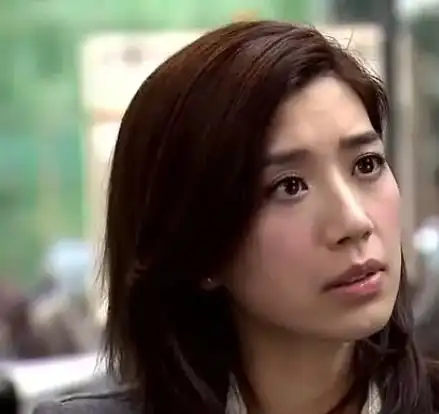 杂警奇兵(2017年黄智贤主演电视剧)_石塘网