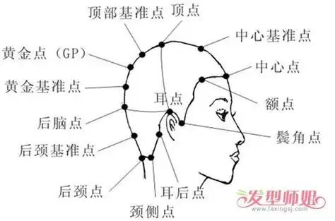 美发师剪发并不是无拘无束 专业美发规范十字分区示意图look-图2