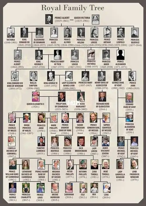 两张图让你通晓英国王室成员关系及继位顺序