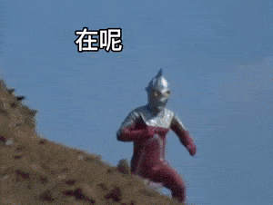 300_226gif 动态图 动图