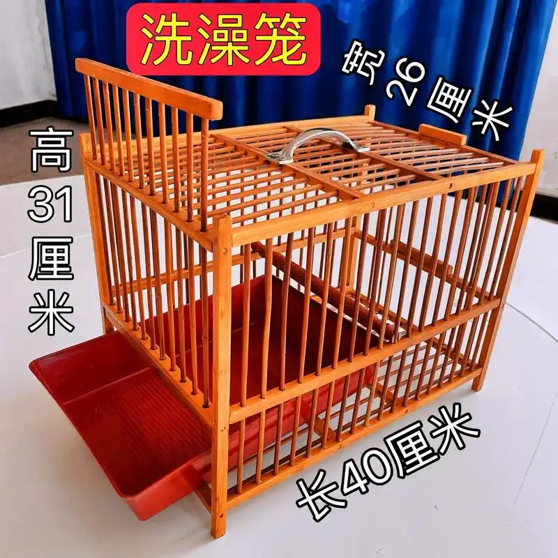 鸟鸟妹的宠物鸟都是用自己手工制作的金笼子上山遛鸟,攻笼既能洗 - 抖