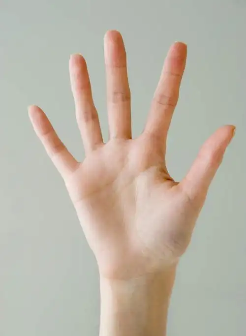 正面,欧洲,欧洲人,仅一个年轻女性,仅一个女性,仅一个人,灰色背景