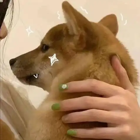 女人和狗的情侣头像 情侣头像图片大全 -【爱个性】