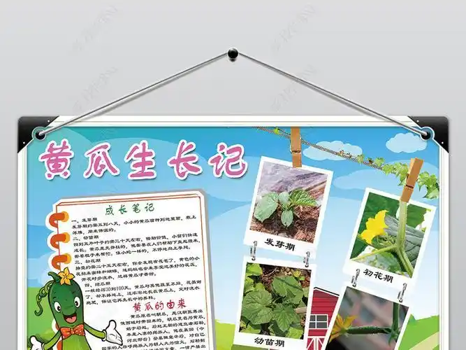 手抄报简单又漂亮以种植蔬菜为主题的手抄报走进黄瓜小镇手抄报走进